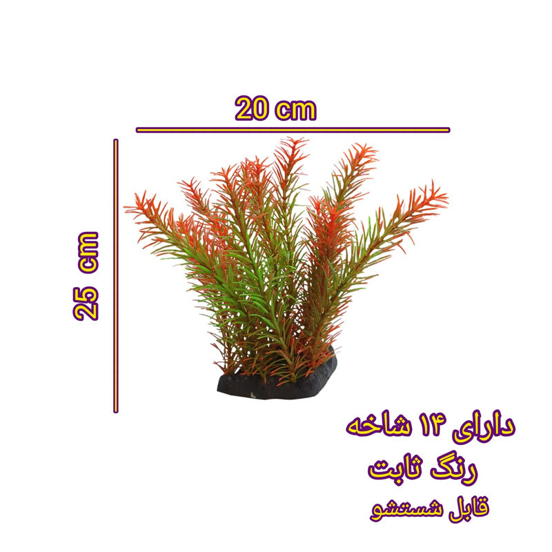 گیاه تزیینی آکواریوم مدل سرخسی p1