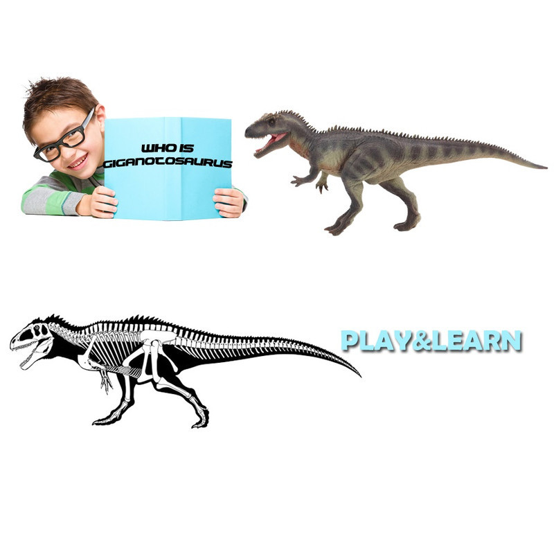 فیگور تی ان جی مدل دایناسور طرح GIGANOTOSAURUS کد T5004