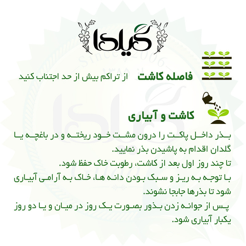 بذر تره گیلدا کد 115