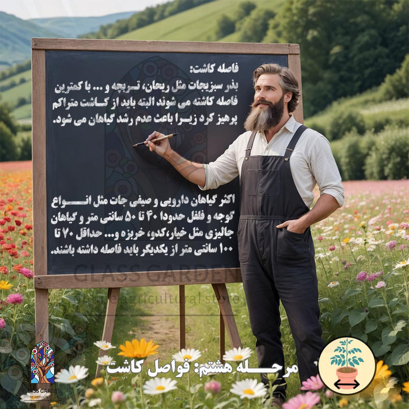 بذر کدو تنبل غول پیکر گلس گاردن مدل GL02