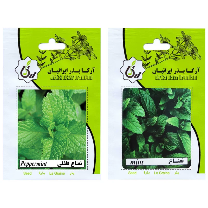 بذر نعناع و نعناع فلفلی آرکا بذر ایرانیان کد ARK-A-ARK-02 وزن 20 گرم مجموعه 2 عددی