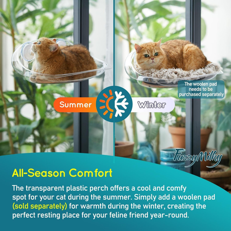 جای خواب گربه مدل شیشه ای مکشی window Bed