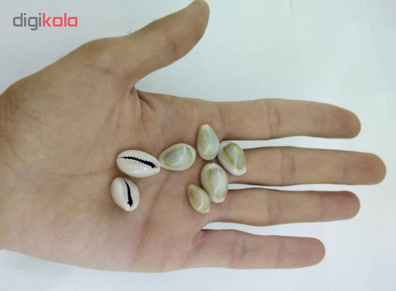 صدف تزئینی مدل a04 بسته 12 عددی