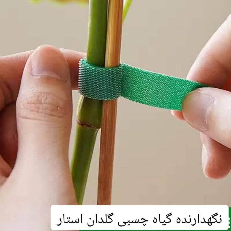 نگهدارنده گیاه مدل چسبی بسته 2عددی