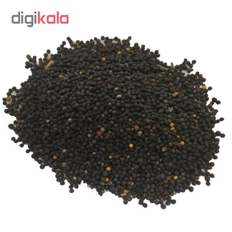 خاک پلنت آکواریوم مدل SND4