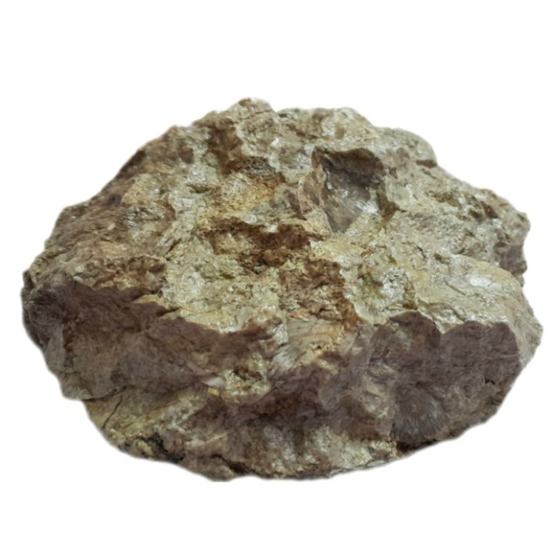 سنگ راف مدل فسیل صدف کلکسیونی قدمتی آکواریومی کد ۴۶۶