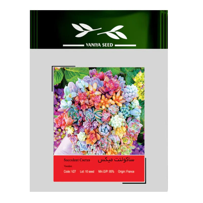 بذر ساکولنت میکس وانیا سید کد V27