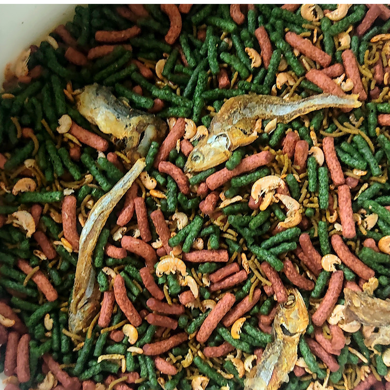 غذای لاکپشت مدل mix turtle وزن 400 گرم