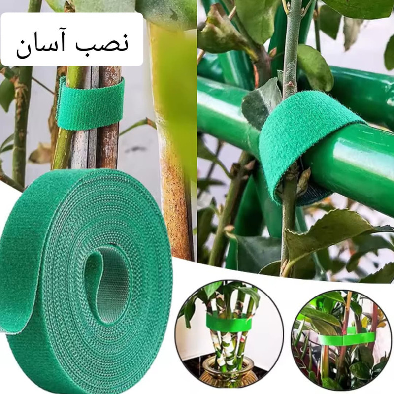نگهدارنده گیاه مدل چسبی بسته 2عددی