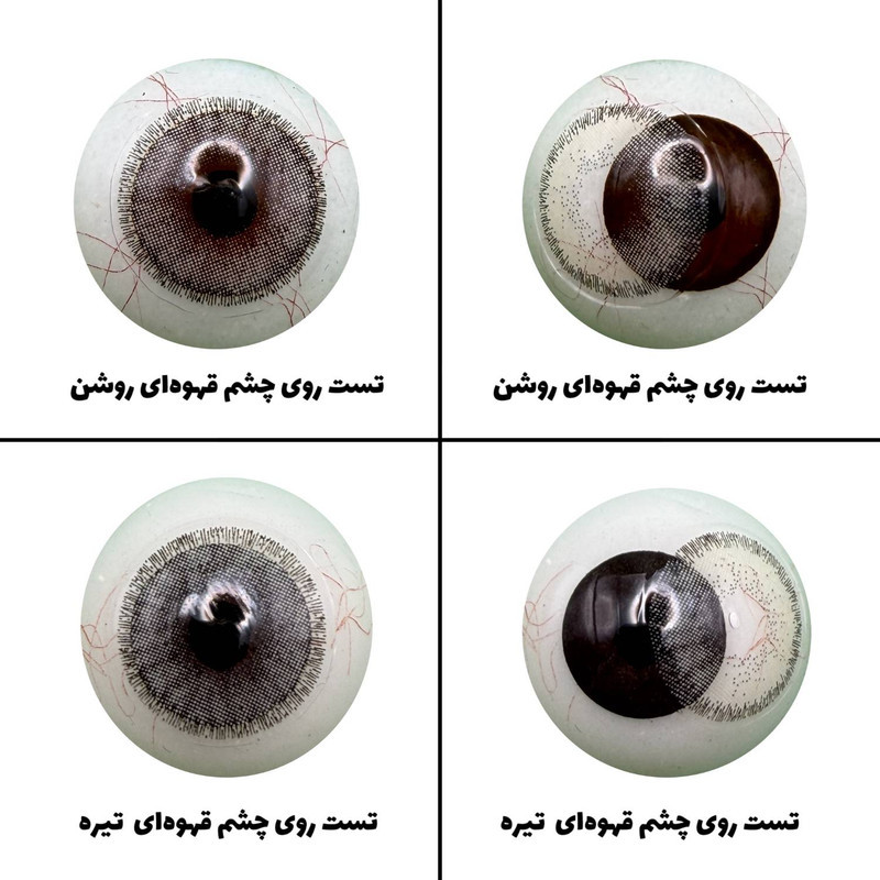 لنز چشم رویال ویژن مدل CRISTAL کد 21 رنگ طوسی طبیعی دوردار