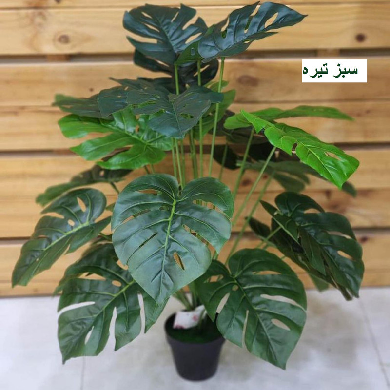 درختچه مصنوعی انجیری مدل PAL-24 BARG با 24 برگ لمسی ضخیم، ارتفاع 70 سانتی‌متر، جنس چرم مصنوعی، فاقد گلدان، ابعاد 50x50x70 سانتی‌متر، وزن 300 گرم
