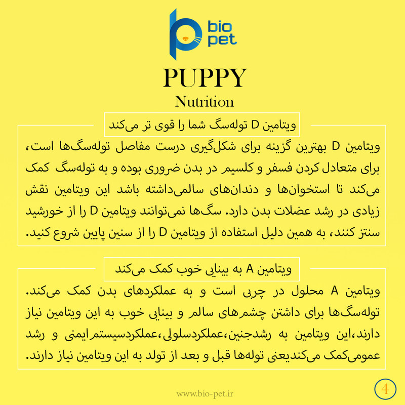 پودر مکمل توله سگ بایو پت مدل Puppy وزن 400 گرم