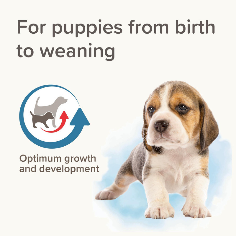 شیر خشک سگ بیفار مدل lactol pupy وزن 250 گرم