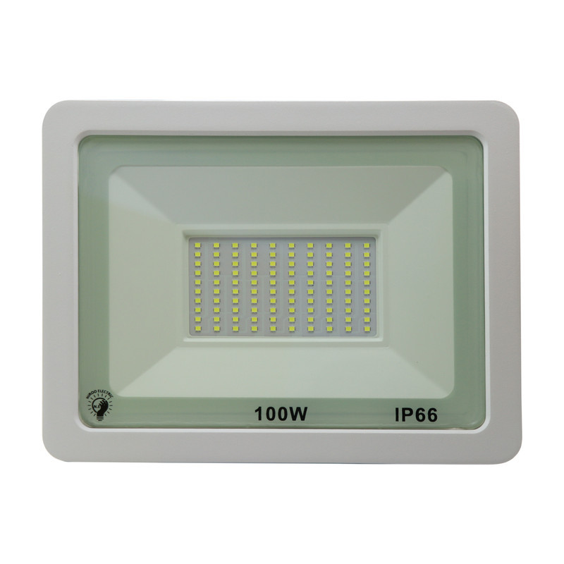 پرژکتور 100 وات نیرو الکتریک کد IP66_S