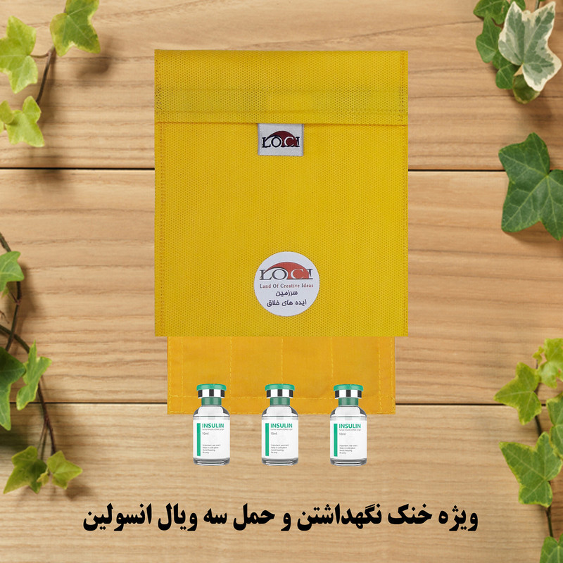 کیف خنک نگهدارنده انسولین لوک آی مدل 3 ویال کد 00 مجموعه 2 عددی