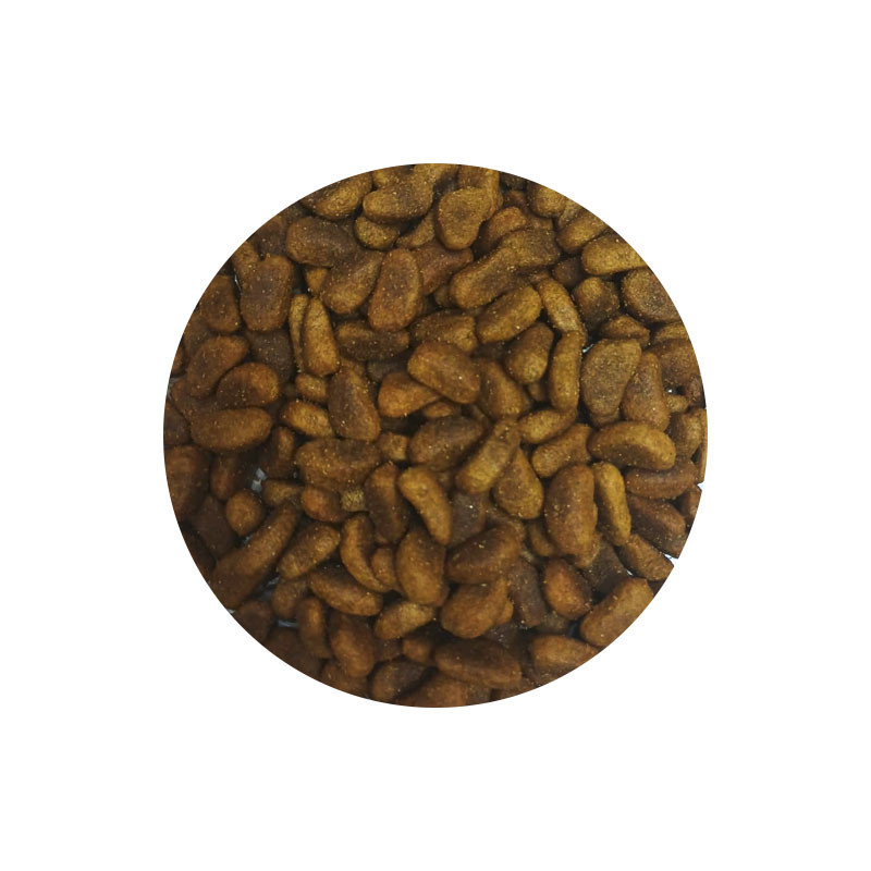 غذای خشک سگ شهرپت پت مدل Reflex Beef And Rice وزن 1 کیلوگرم
