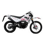 موتور سیکلت تکتاز روان QM200 سی سی سال 1404